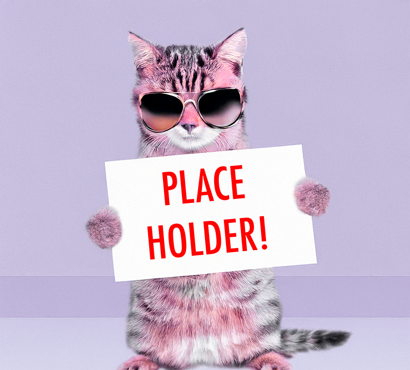 placeholder